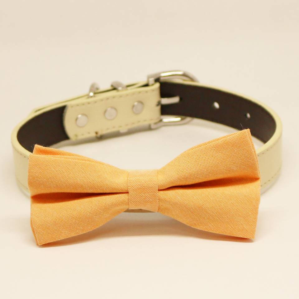 Pale Orange dog bow tie collar, birthday gift, Pet wedding accessory , Wedding dog collar