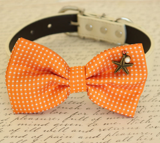 Orange Dog Bow tie collar , Wedding dog collar