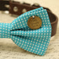 Blue Dog Bow Tie Collar, Live Love Laugh, Pet Wedding accessory , Wedding dog collar