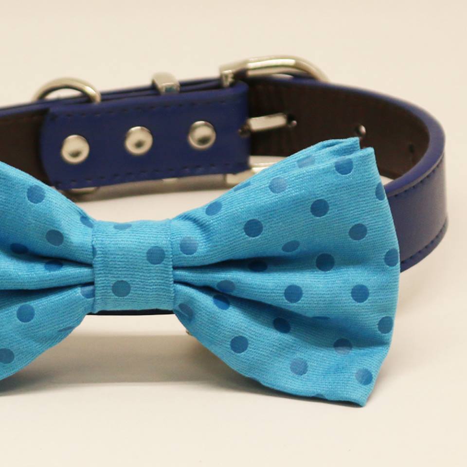 Blue Dog Bow Tie collar, Pet Beach Wedding Accessory, Polka Dots, Birthday, Something Blue , Wedding dog collar