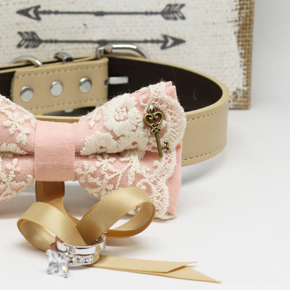 Blush Lace dog bow tie Ring Bearer collar, Charm (Key to my Heart), Proposal, Pet wedding , Wedding dog collar