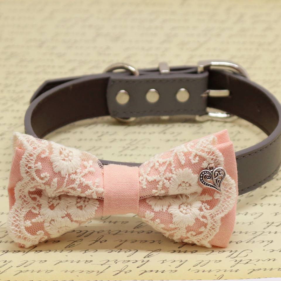 Blush Lace dog bow tie collar, Charm (Heart), Puppy Gift, Pet wedding accessory, Birthday , Wedding dog collar