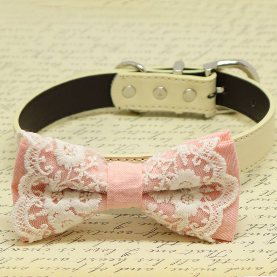 Blush Lace dog bow tie collar, Puppy Gift, Pet wedding accessory, Birthday , Wedding dog collar