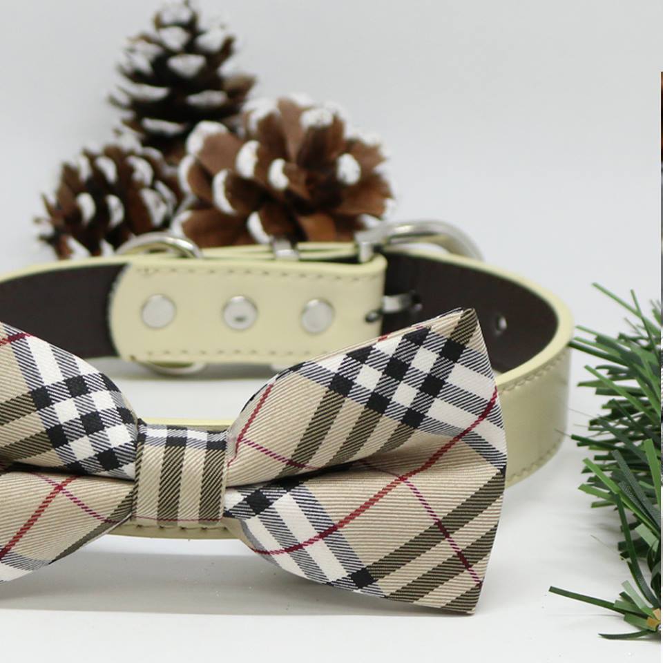 Dog Bow Tie Plaid Burly wood collar, dogs birthday gift, Puppy lovers, Ivory, Pet accessory , Wedding dog collar
