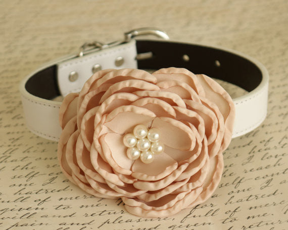 Champagne Floral Wedding dog collar, birthday, flower with Pearls, Handmade , Wedding dog collar