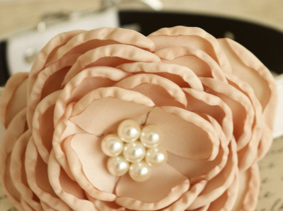 Champagne Floral Wedding dog collar, birthday, flower with Pearls, Handmade , Wedding dog collar