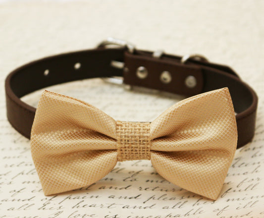 Champagne Dog Bow Tie attached to collar, Country Rustic wedding, Burlap , Wedding dog collar