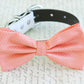 Coral dog Bow tie attached to collar, Coral wedding, Coral bow, Dog lovers, Coral , Wedding dog collar