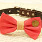 Coral Dog Bow Tie attached to collar, Coral wedding, Country Rustic , Wedding dog collar