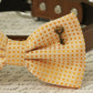 Cream dog bow tie collar, Pet accessory, Heart Key, Country Rustic wedding , Wedding dog collar