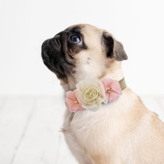 Handmade Peach Ivory Flower dog collar, flower leather collar, Dog ring bearer proposal XS to XXL collar, Puppy Girl flower collar , Wedding dog collar