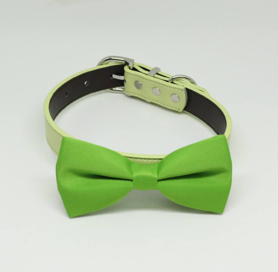 Green dog bow tie attached to collar, Green wedding, dog lovers, Summer wedding , Wedding dog collar