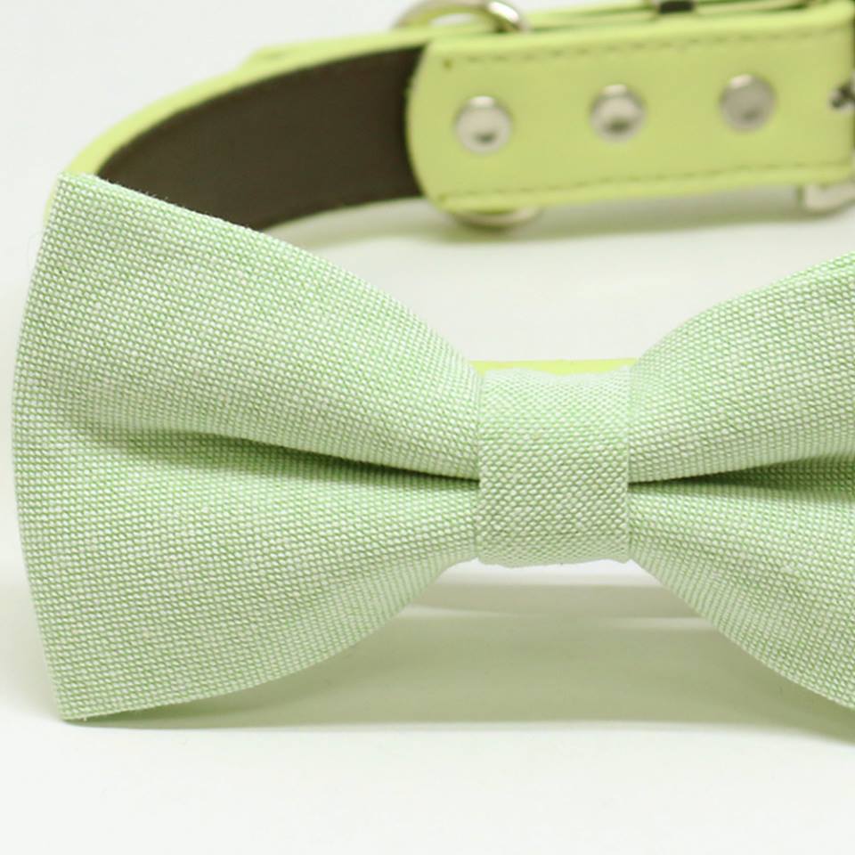 Green dog bow tie collar, Pet Wedding, birthday gift, Color of the year , Wedding dog collar