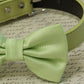 Green Dog Bow tie collar, Spring wedding, Greenery, Color of year , Wedding dog collar