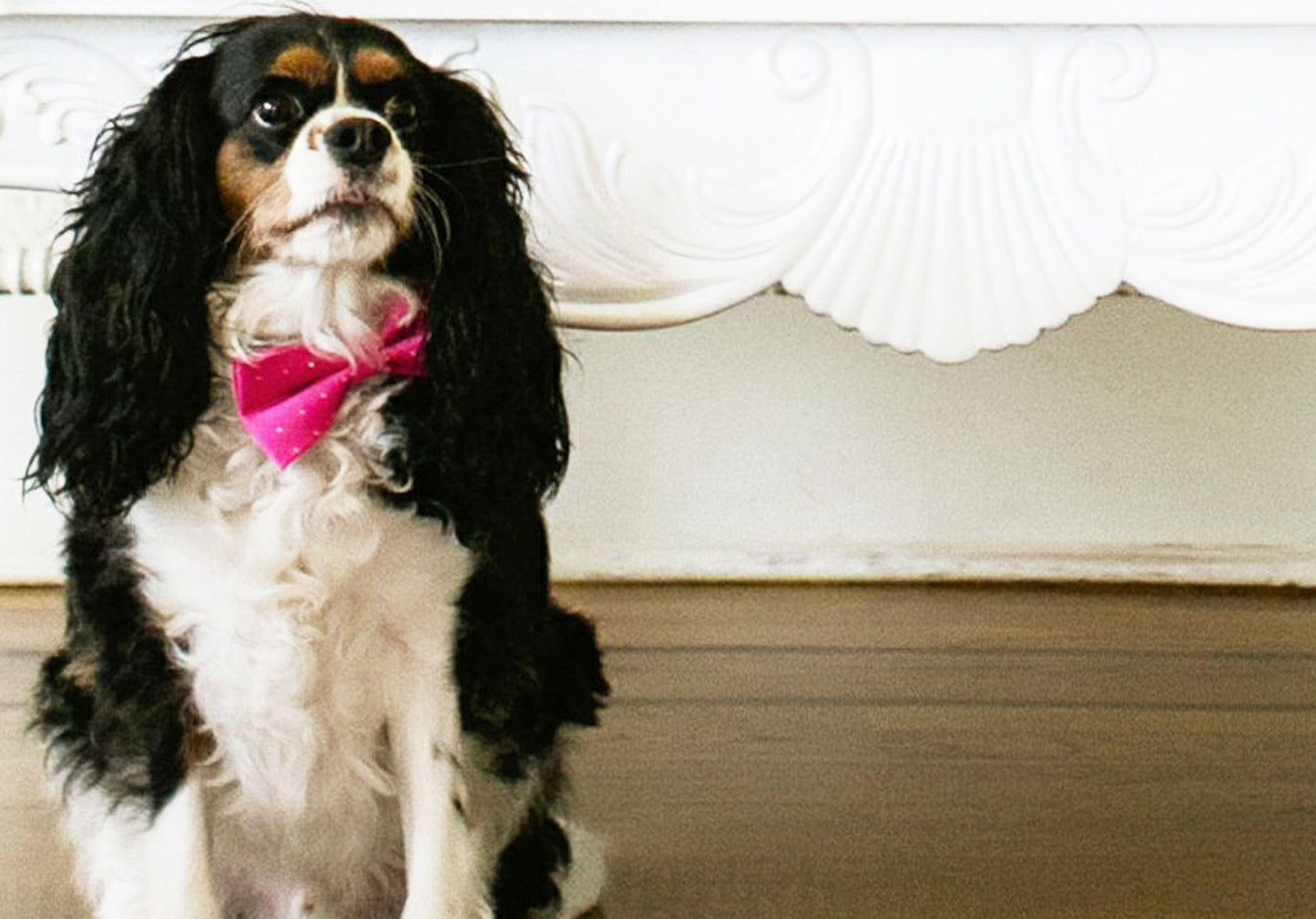 Pink Dog Bow tie wedding, Dog Birthday Accessory, Love Pink, dog gift , Wedding dog collar