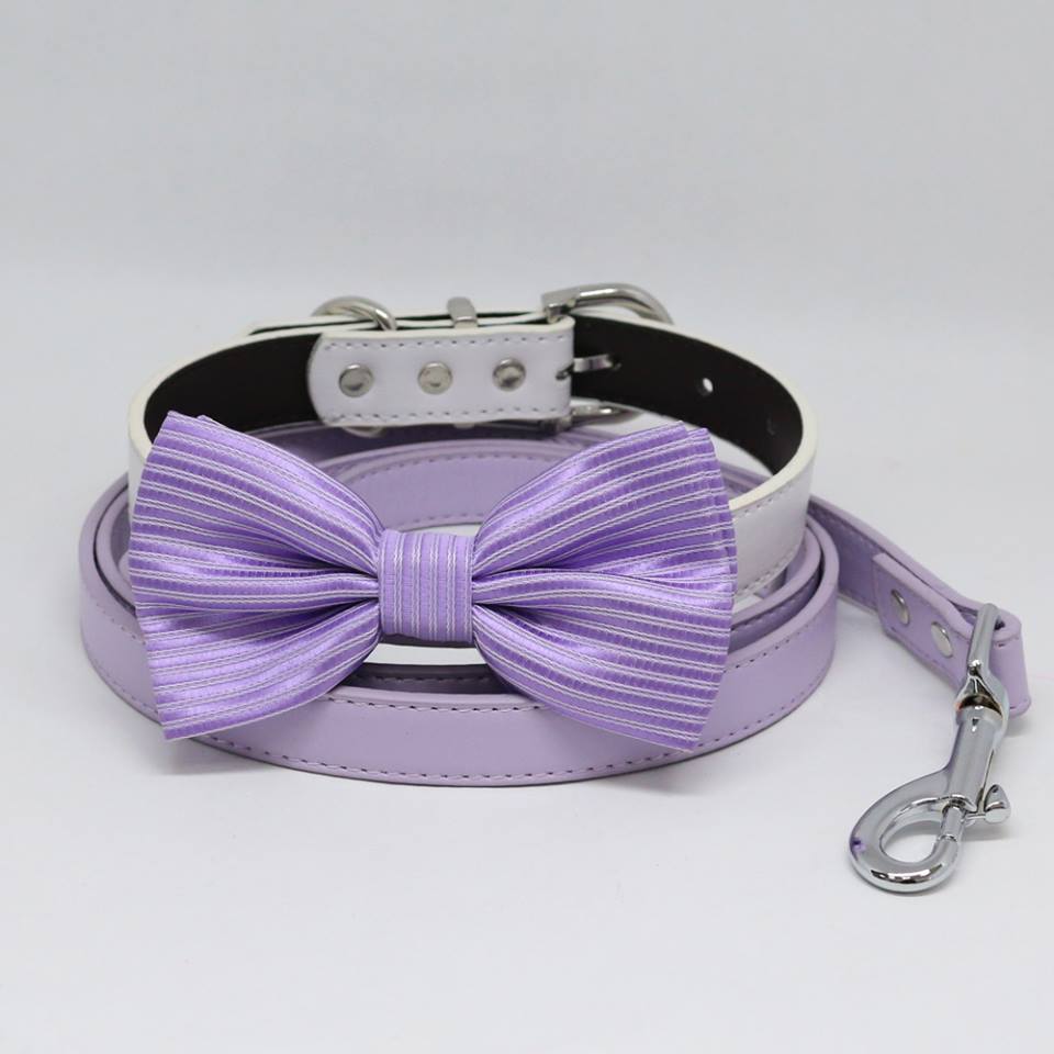 Wedding dog collar and 2024 leash