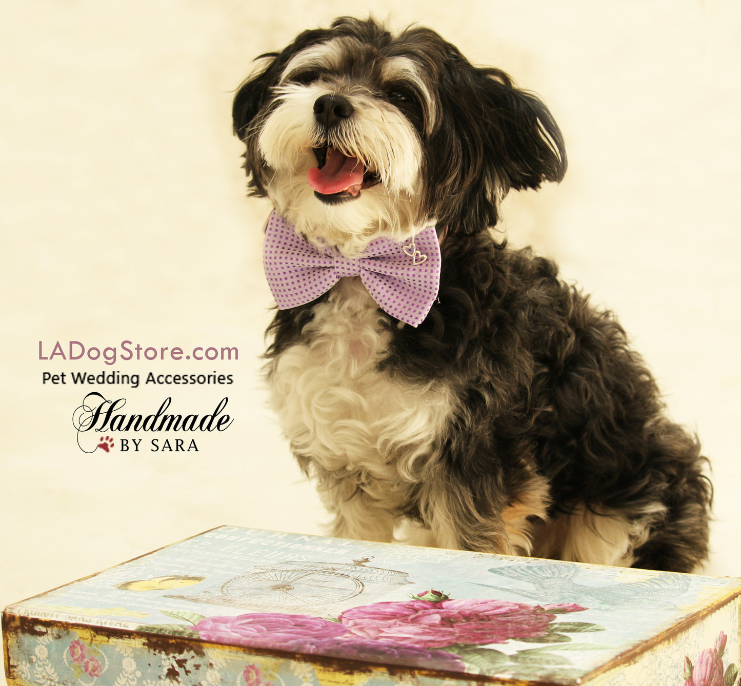 Purple dog bow tie attached to collar, wedding accessory, dog birthday, heart charm , Wedding dog collar