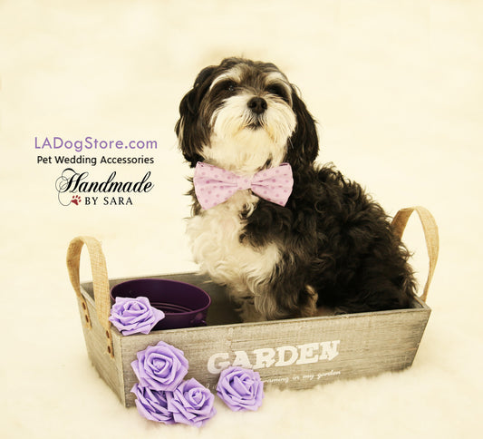Lavender Dog Bow Tie collar, Pet wedding accessory, Purple wedding , Wedding dog collar