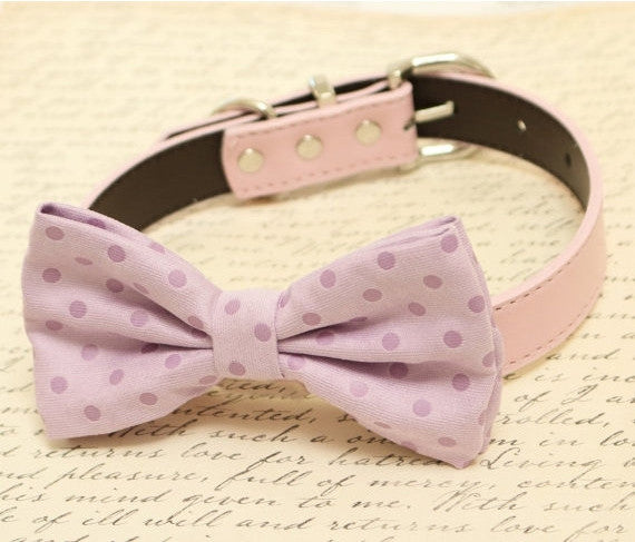 Lavender Dog Bow Tie collar, Pet wedding accessory, Purple wedding , Wedding dog collar