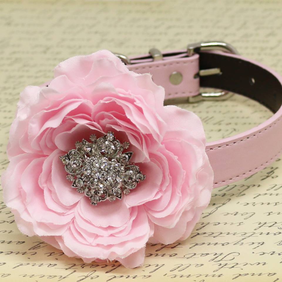 Light Pink Floral Dog Collar with Rhinestone, Wedding Pet accessory, Puppy  Love, Peony – LA Dog Store