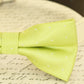 Lime Green dog bow tie attached to dog collar, Pet wedding accessory , Wedding dog collar