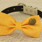 Yellow Dog Bow tie attached to collar, Dog birthday gift, Pet wedding accessory , Wedding dog collar