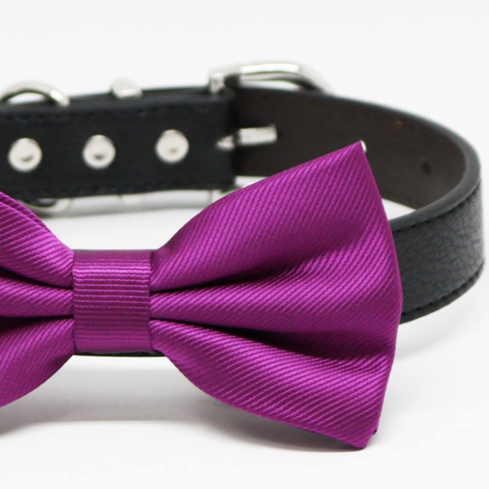 Dark Magenta Bow tie Dog collar, Pet wedding Accessory, Puppy Love, Birthday Gift , Wedding dog collar