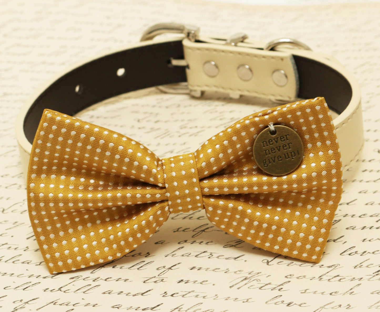 Mustard dog Bow attached to collar, Pet accessory, Charm, Never Never Give up , Wedding dog collar