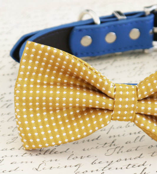 Mustard bow tie attached to dog collar, Mustard wedding pet accessory , Wedding dog collar