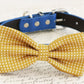 Mustard bow tie attached to dog collar, Mustard wedding pet accessory , Wedding dog collar