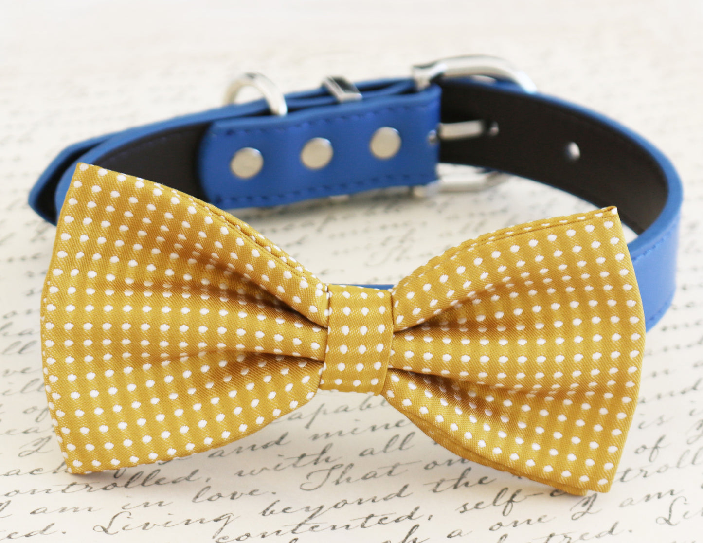 Mustard bow tie attached to dog collar, Mustard wedding pet accessory , Wedding dog collar