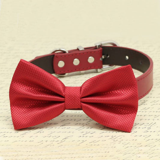Red dog Bow tie attached to collar, Pet Wedding, Love Red, Dog Wedding idea , Wedding dog collar