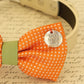 Orange Dog Bow Tie attached to collar, Pet wedding accessory, dog birthday gift , Wedding dog collar