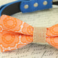 Orange floral dog bow tie, Bohemian Wedding, some thing blue , Wedding dog collar