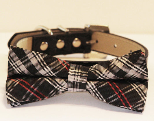 Black Dog Bow Tie attached to Collar, Pet wedding accessory, Dog Lovers, Black , Wedding dog collar
