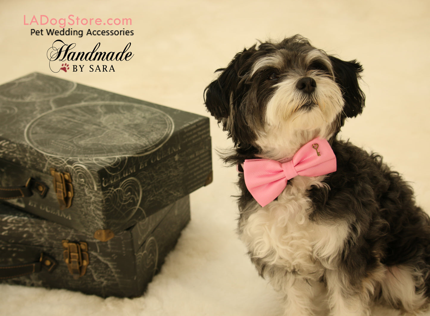 Pink Dog Bow tie attached to collar, Pet wedding, Charm, key, Pink lovers , Wedding dog collar