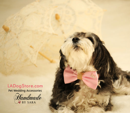 Pink Polka dots Bow Tie attached to collar, Charm, Burlap, Dog Birthday gift , Wedding dog collar