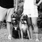 Gray Plaid dog bow tie, Pet accessory, Engagement photo, Dog collar , Wedding dog collar