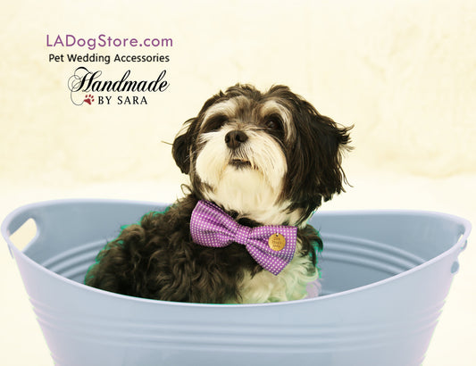 Purple Dog Bow Tie collar wedding, Purple wedding, birthday gift, Live Love Laugh , Wedding dog collar