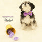 Purple Dog Bow Tie attached to collar, dog birthday, Purple wedding, Charm , Wedding dog collar