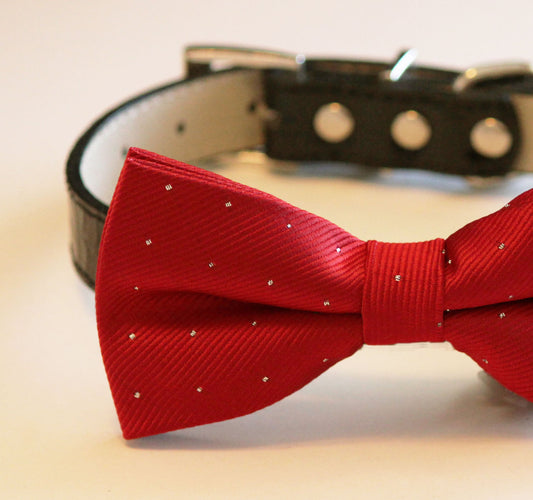 Red Ruby Dog Bow Tie with collar- Chic Wedding dog bow tie, Birthday gift , Wedding dog collar