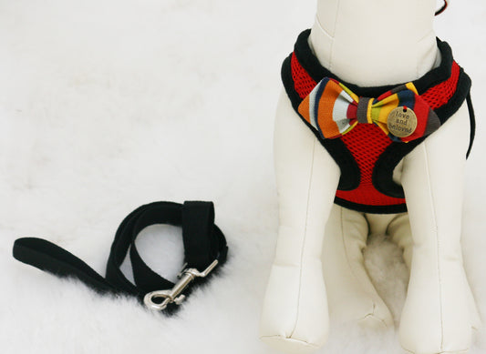 Red Dog Harness with colorful bow and a black leash, colorful bow with a charm , Wedding dog collar