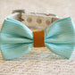 Tiffany Blue and Gold Wedding Dog bow tie, Tiffany wedding, Tiffany Dog collar , Wedding dog collar