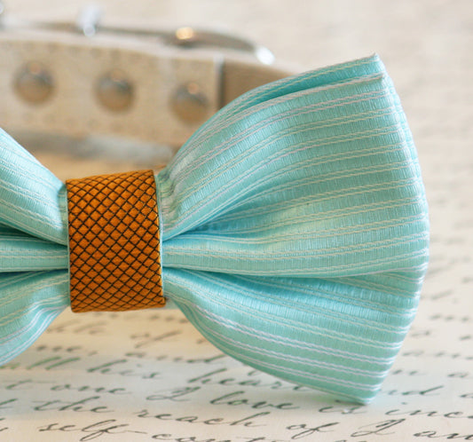 Tiffany Blue and Gold Wedding Dog bow tie, Tiffany wedding, Tiffany Dog collar , Wedding dog collar