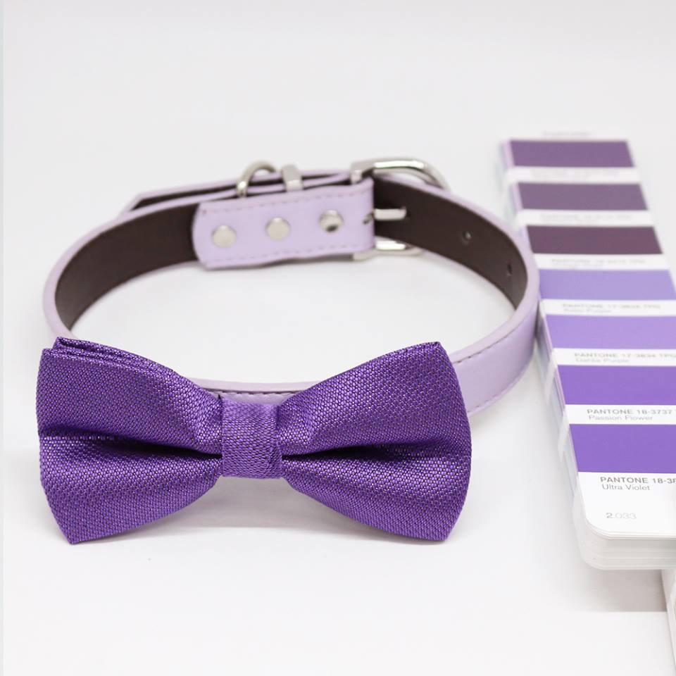 Ultra Violet dog bow tie collar, Color of 2018 PANTONE 18-3838, Pet Wedding, Gifts , Wedding dog collar