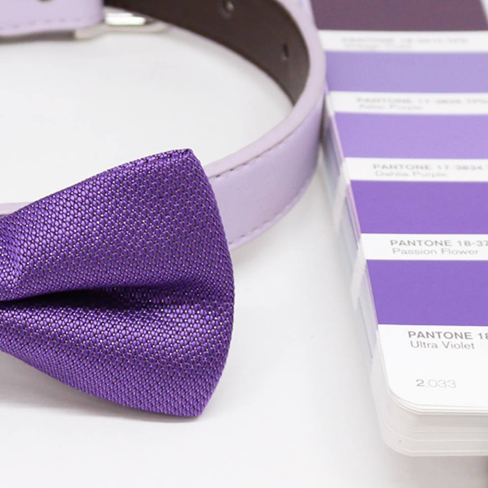 Ultra Violet dog bow tie collar, Color of 2018 PANTONE 18-3838, Pet Wedding, Gifts , Wedding dog collar