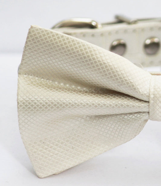 White Dog Bow Tie with collar, White wedding, dog accessory , Wedding dog collar