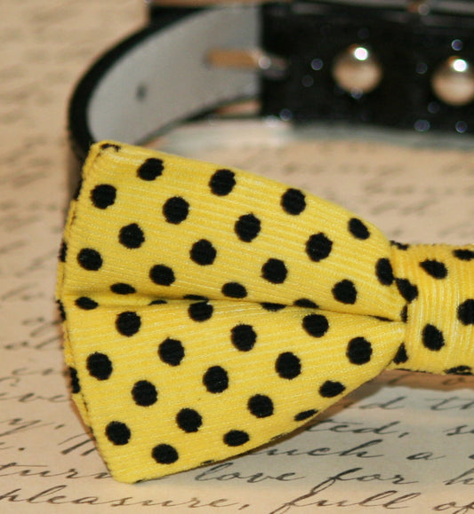 Yellow Black Polka dots Bow Tie attach to collar, Chic Wedding, Pet lovers , Wedding dog collar