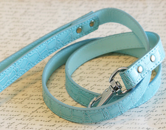 Blue Leash, Blue Pet Accessories , Wedding dog collar