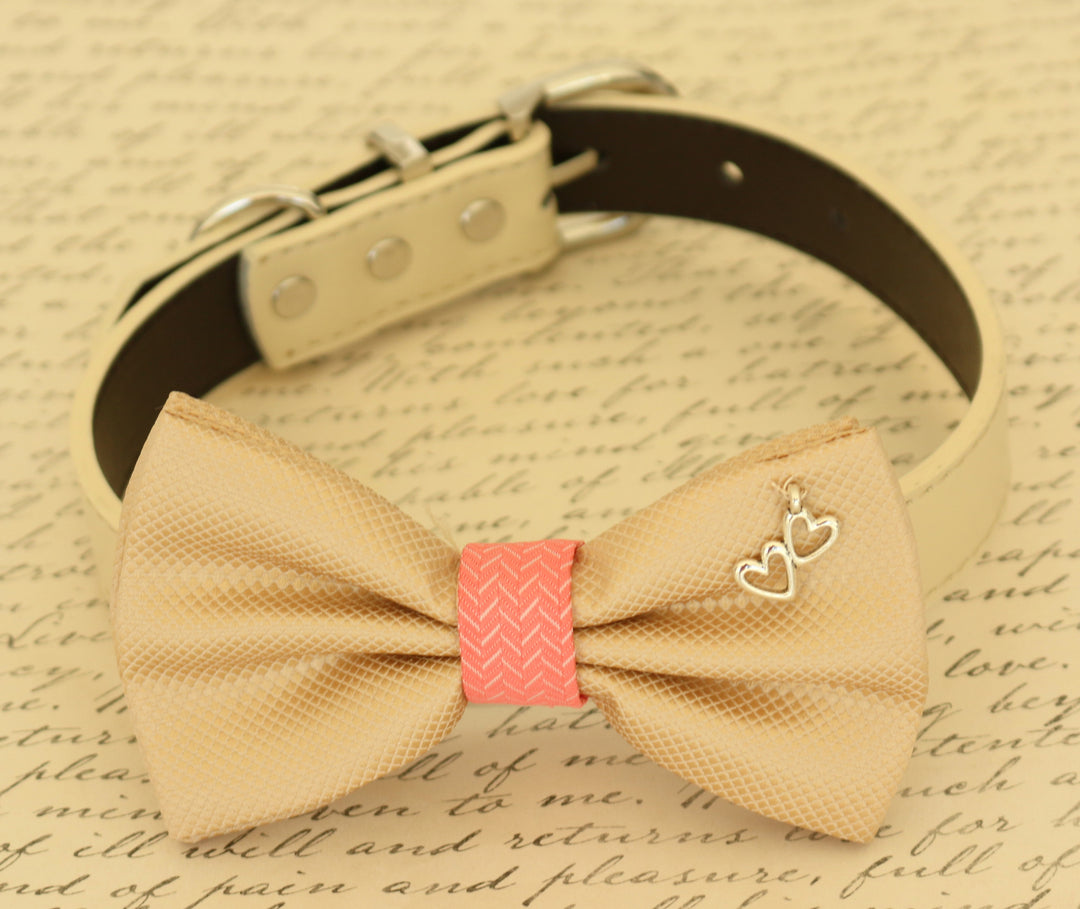 Champagne and coral dog Bow tie attached to dog collar, Pet accessory, Charm , Wedding dog collar